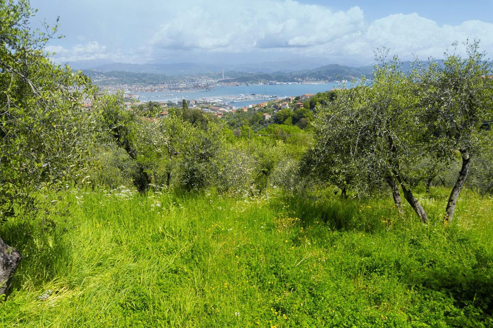 Appartement Gli Ulivi Sul Golfo E Le 5 Terre à La Spezia Extérieur photo