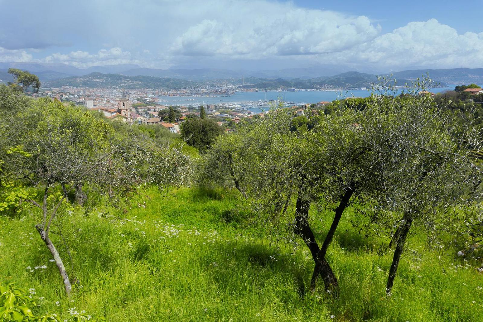 Appartement Gli Ulivi Sul Golfo E Le 5 Terre à La Spezia Extérieur photo
