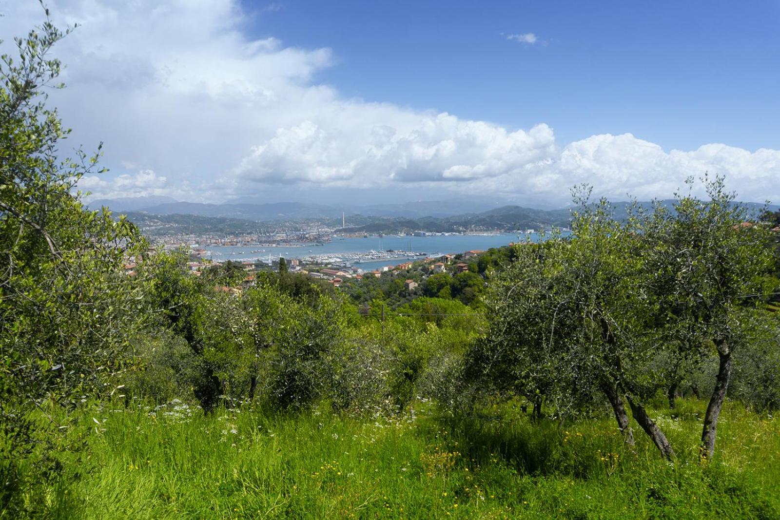 Appartement Gli Ulivi Sul Golfo E Le 5 Terre à La Spezia Extérieur photo