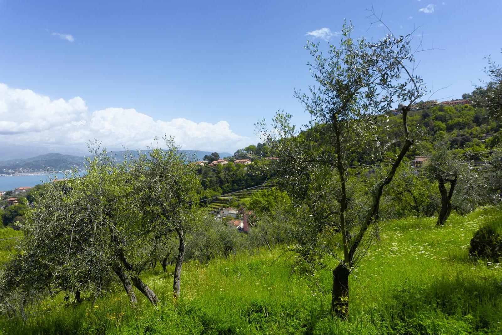 Appartement Gli Ulivi Sul Golfo E Le 5 Terre à La Spezia Extérieur photo