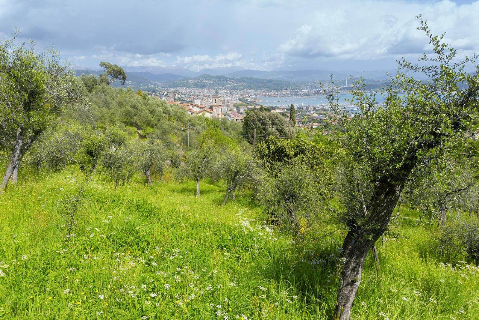 Appartement Gli Ulivi Sul Golfo E Le 5 Terre à La Spezia Extérieur photo