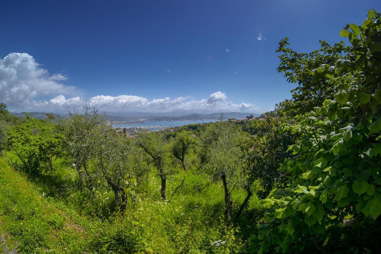 Appartement Gli Ulivi Sul Golfo E Le 5 Terre à La Spezia Extérieur photo